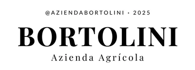 Logo Bortolini